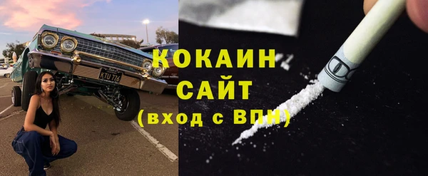 сатива Богородицк